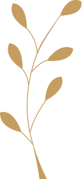 leaf-3